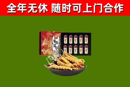 宿城区烟酒回收冬虫夏草礼盒.jpg